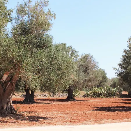 Курортный комплекс Masseria Cortese Latiano