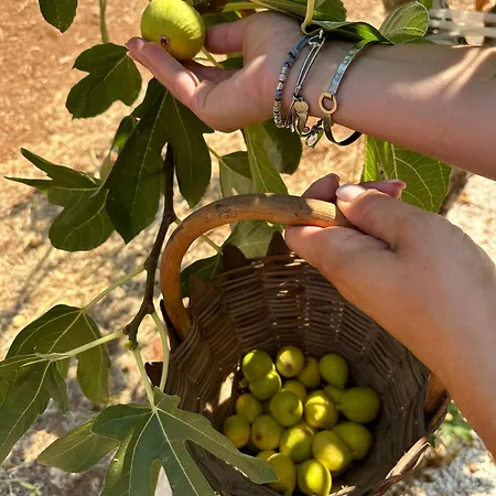 Masseria Cortese *