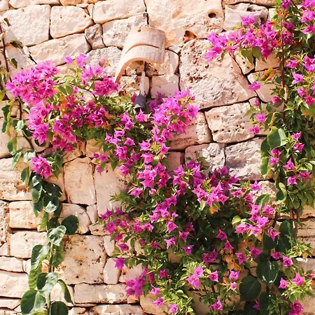 度假村 Masseria Cortese Latiano