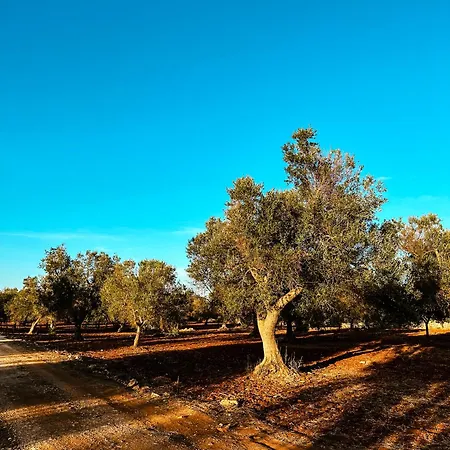 Masseria Cortese 度假村 *