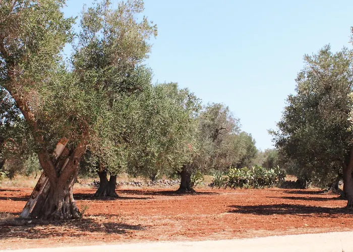 אתר נופש Masseria Cortese Latiano