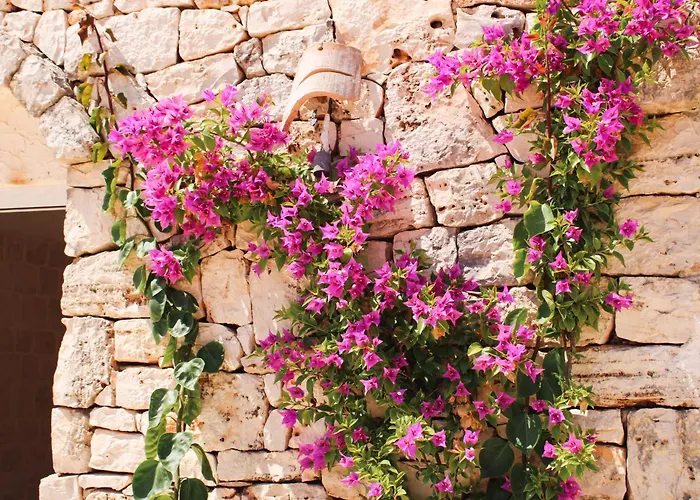 אתר נופש Masseria Cortese Latiano