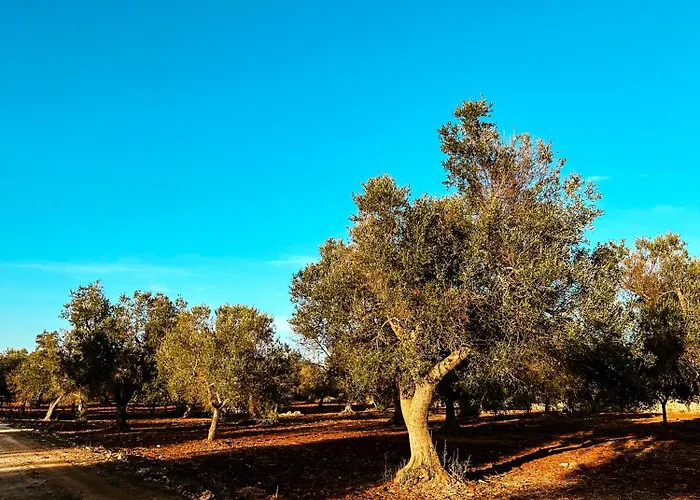 Masseria Cortese אתר נופש *